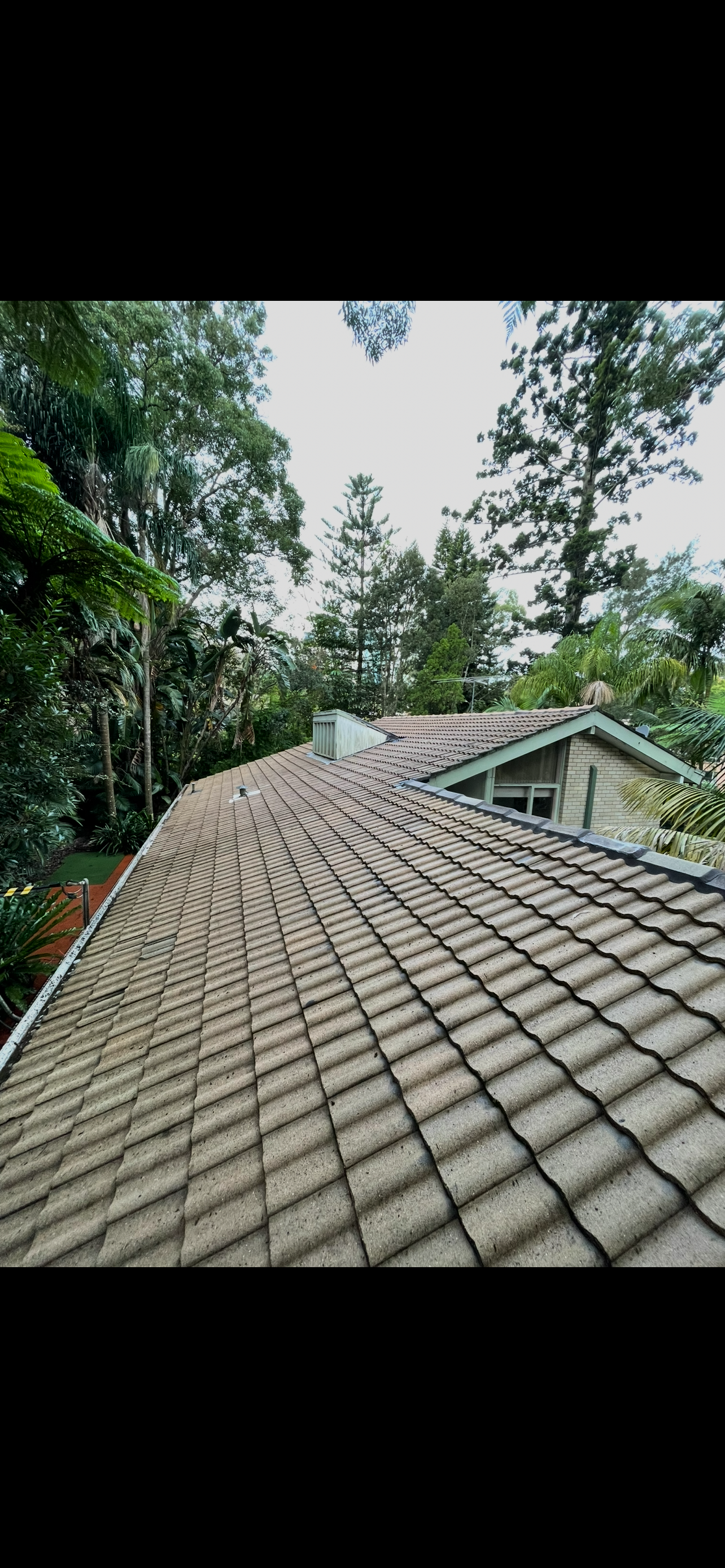 Roof after soft wash