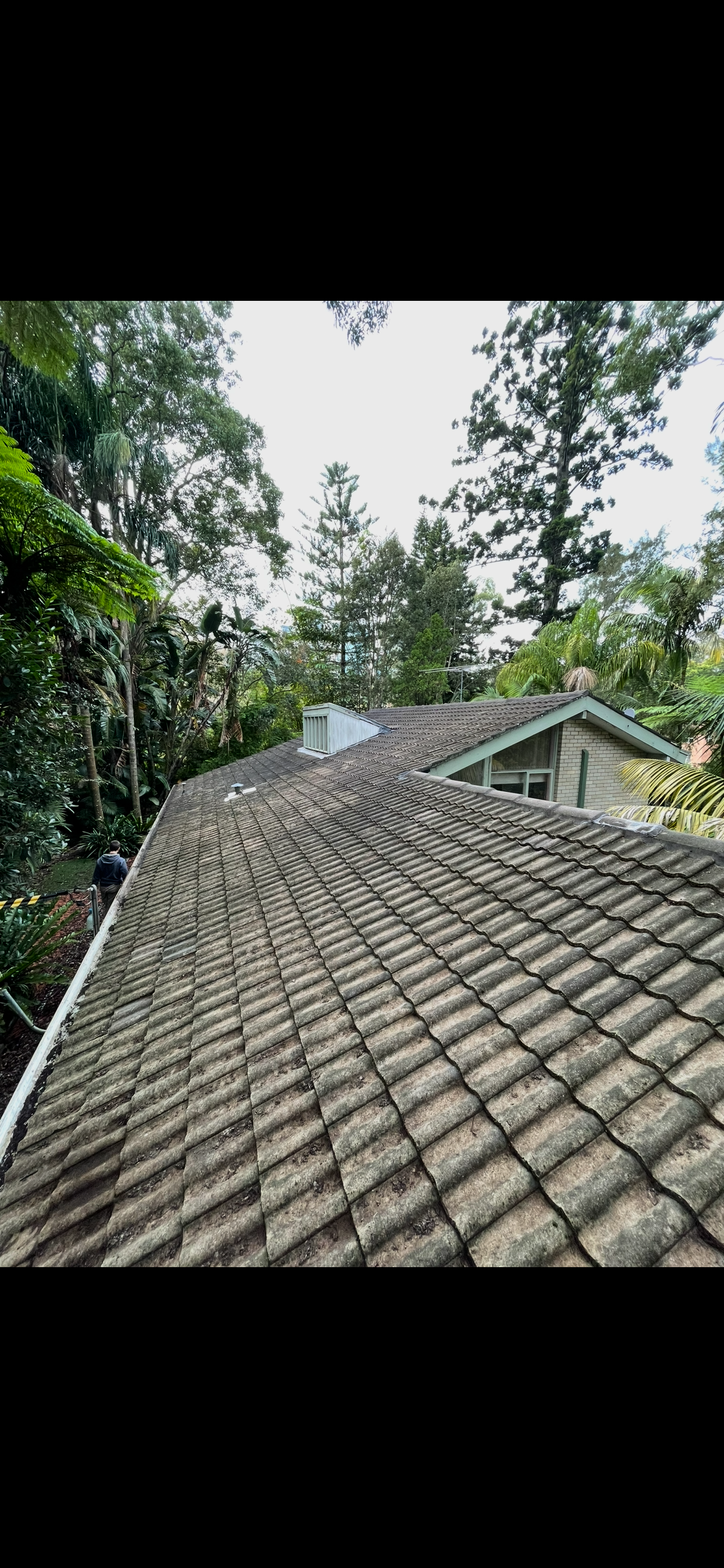 Roof midway through soft wash